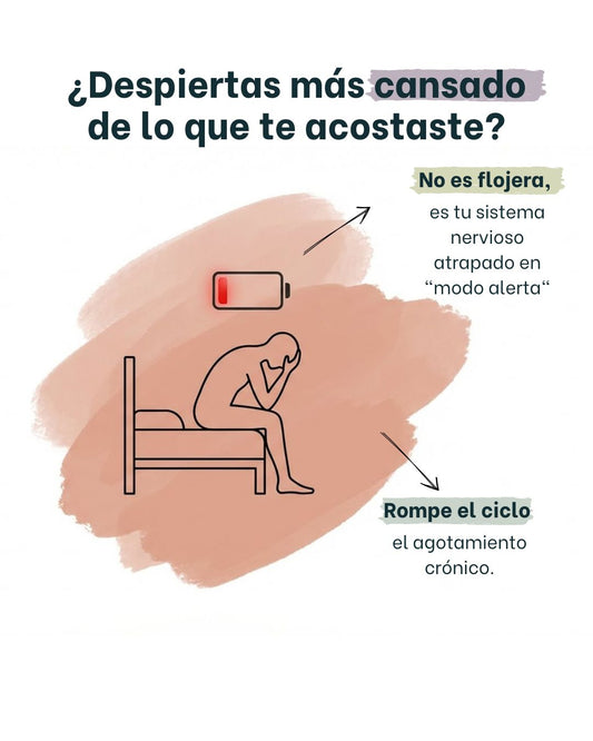 Ashwagandha 600Mg - 60 Caps.